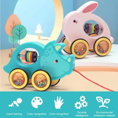 Baby Educational Pull Along Toy