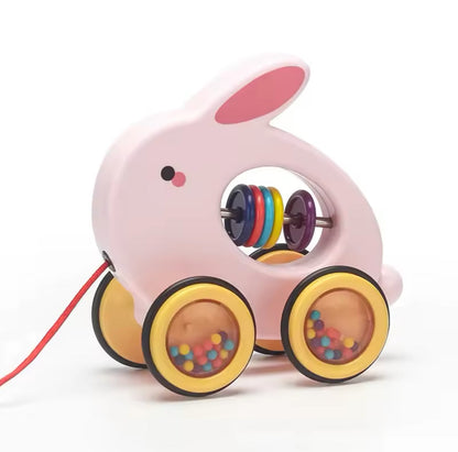 Baby Educational Pull Along Toy