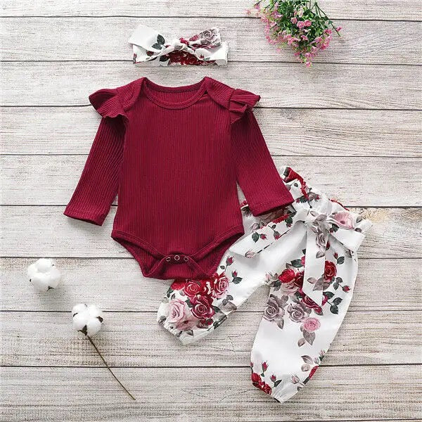 Baby Girls Burgundy Bodysuit & Trousers & Headband Set (Age 3m-24m)