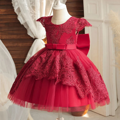 Baby/Toddler Embroidered Tulle Dress (Age 24M-5YRS)