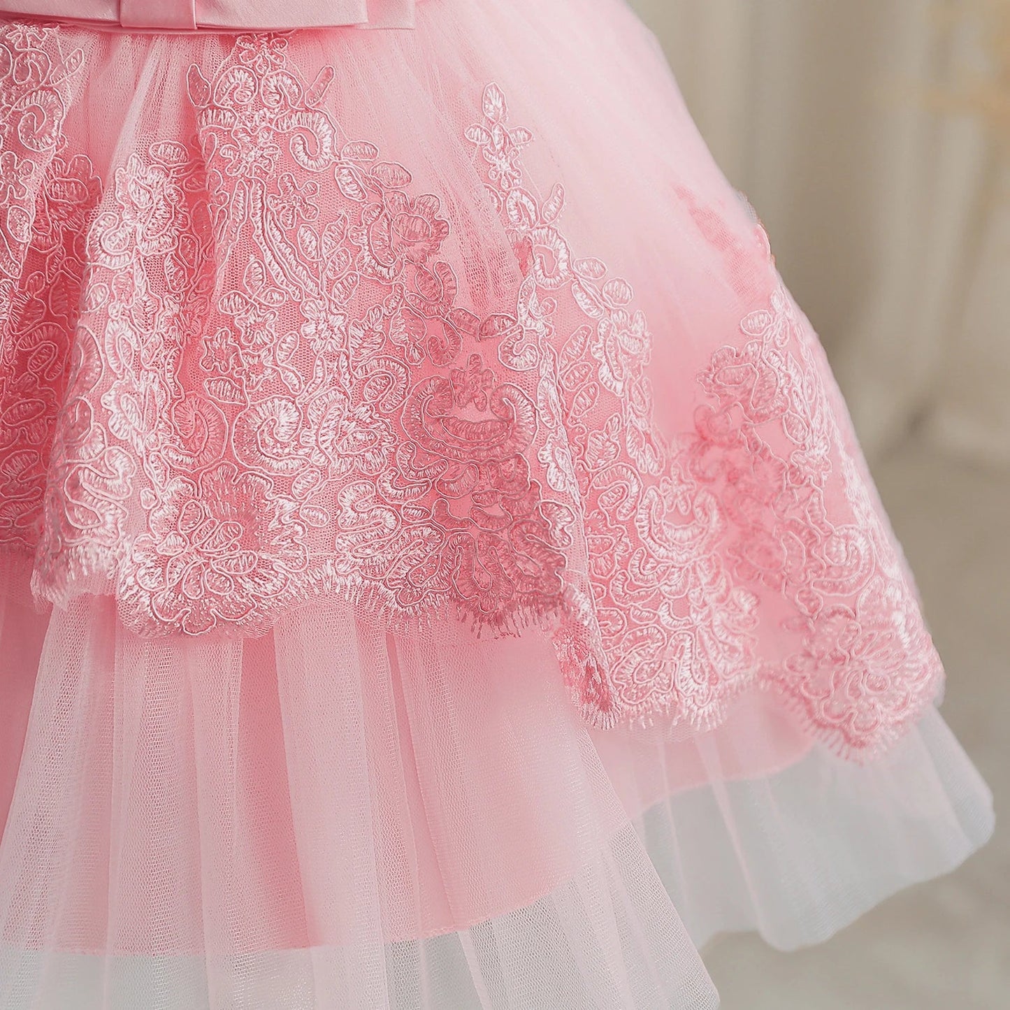 Baby/Toddler Embroidered Tulle Dress (Age 24M-5YRS)