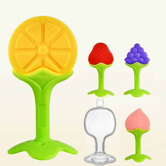 Baby Fruit Shaped Teether Toy