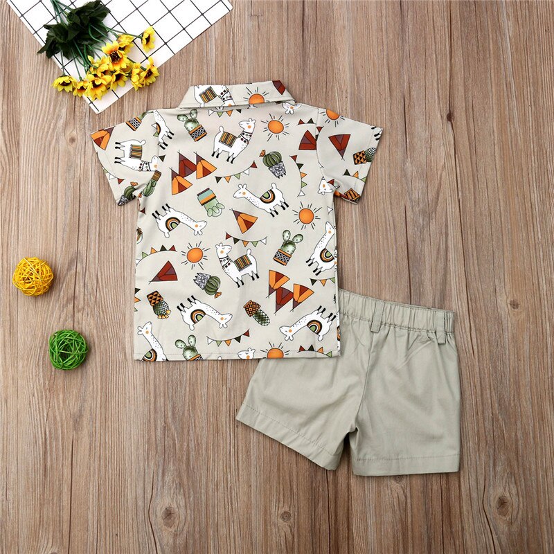 Boys Grey Print Shirt & Shorts Set (Age 12M-4YRS)