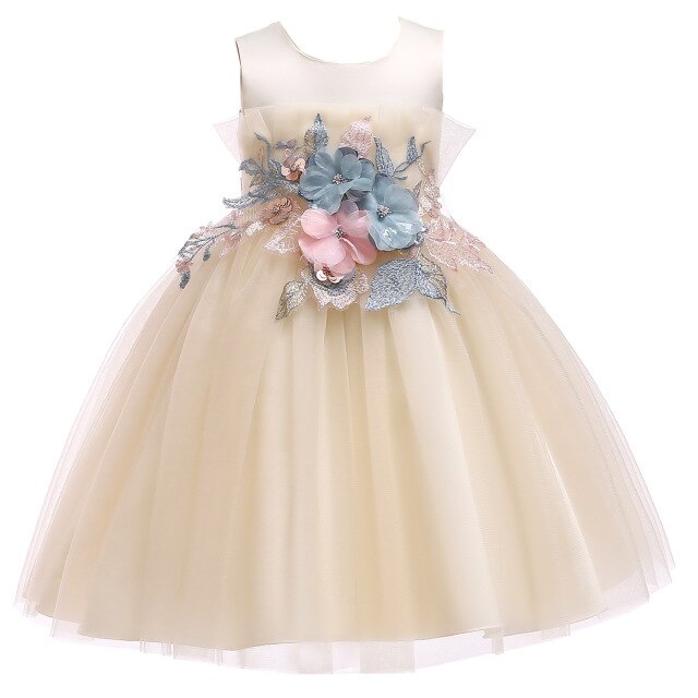 Girls Floral AppliquÃ© Tulle Dress (Age 4-12YRS) Champagne